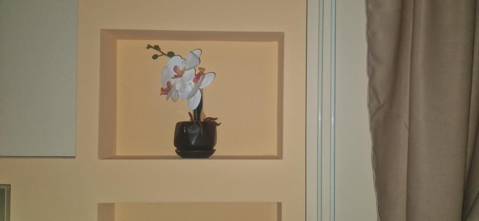 Apartmani Jasmina Zlatibor Zewnętrze zdjęcie